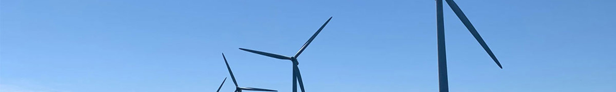 Offshore Wind Wave